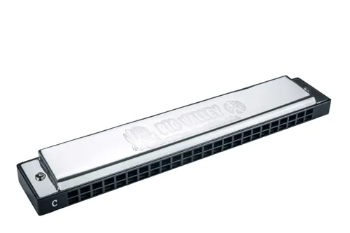 M255001.jpg