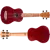 NUS380 CORAL_2.png