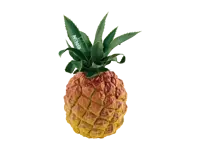 NINO® Fruit Shaker - Pineapple