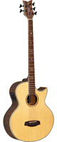 Acoustic Bass - 5-String - Solid Spruce Top