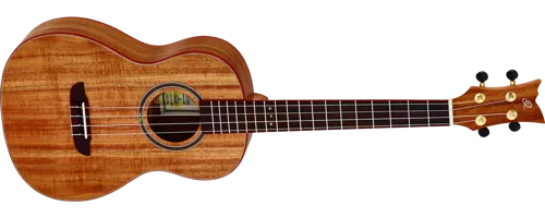 RUACA-BA.png