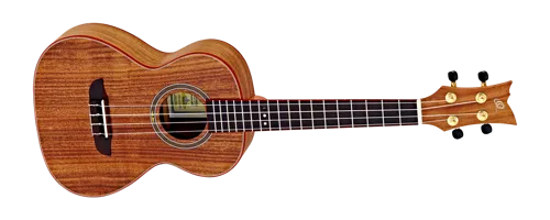 RUACA-TE.png