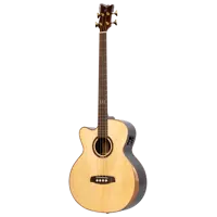 Acoustic Bass "Private Room" - Acoustic-Electric - Medium Scale - Natural - LEFTHAND