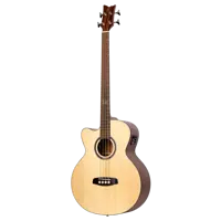 Acoustic Bass - 4-String - Spruce/Mahogany