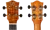 LEIA CE_3.png