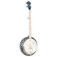 Banjo 5-String - Transparent Blue