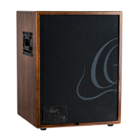 Ortega two channel acoustic amplifier combo - Walnut