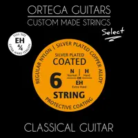 Guitar Nylon Strings Coated - 4/4 - Extra Hard Tension