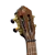 RUOX-CC_14.png