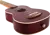 NUS380 CORAL_3.png
