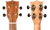 NUS380 CORAL_5.png