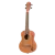 RU5MM-TE_02.png