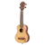 RU5-SO_02.png