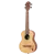 RU5-TE_02.png