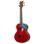 RUGH-SRT_02.png