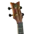 RUGH-PLT_15.png