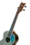 RUGH-PLT_06.png