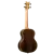 RUGH-PLT_05.png