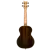 RUGH-PLT_03.png