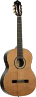 Performer Series Nylon String Guitar E - Cedar