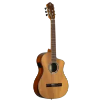 Thermo Series Nylon String Guitar CE