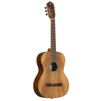 Thermo Series Nylon String Guitar