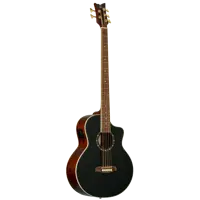 Acoustic Bass 5-String - Black Top