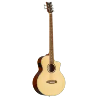 Acoustic Bass 5-String - Natural Spruce