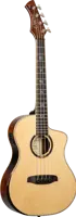 Acoustic Travel Bass - Ken Taylor - Thinline