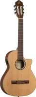 Guitar SN Family Series 3/4 Thinline - Spruce