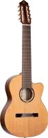 Guitar Perfoermer Series 4/4 - Cedar - 8string