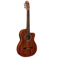 Guitar "The Private Room" Exoticsuite CE