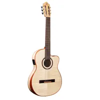 Guitar "The Private Room" Bridgesuite CE